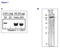 Lysine Demethylase 1A antibody, TA347224, Origene, Western Blot image 