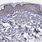 Golgi integral membrane protein 4 antibody, HPA002315, Atlas Antibodies, Immunohistochemistry frozen image 