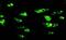 NMDAR2B antibody, LS-C171802, Lifespan Biosciences, Immunofluorescence image 