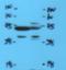 Apelin Receptor antibody, orb13251, Biorbyt, Western Blot image 