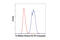 Histone H3 antibody, 46287S, Cell Signaling Technology, Flow Cytometry image 