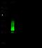 Heat shock protein beta-1 antibody, 10351-RP02, Sino Biological, Western Blot image 