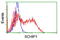 Schwannomin-interacting protein 1 antibody, TA504468, Origene, Flow Cytometry image 