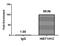 H12 antibody, LS-C676861, Lifespan Biosciences, Chromatin Immunoprecipitation image 
