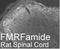 FMRF-amide neuropeptides antibody, NB100-1661, Novus Biologicals, Immunohistochemistry frozen image 
