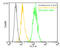 Heat shock protein beta-1 antibody, ADI-SPA-801-488-F, Enzo Life Sciences, Flow Cytometry image 