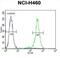 Olfactory Receptor Family 2 Subfamily B Member 11 antibody, abx026252, Abbexa, Flow Cytometry image 