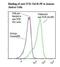 Keratin 3 antibody, LS-C134141, Lifespan Biosciences, Flow Cytometry image 