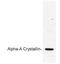 alpha A Crystallin antibody, GTX25595, GeneTex, Western Blot image 