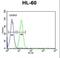 Homeobox protein EMX2 antibody, LS-C167752, Lifespan Biosciences, Flow Cytometry image 