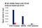 Heme Oxygenase 1 antibody, 70148S, Cell Signaling Technology, Chromatin Immunoprecipitation image 