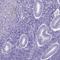 Chromosome 11 Open Reading Frame 42 antibody, HPA063404, Atlas Antibodies, Immunohistochemistry frozen image 