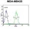 Dehydrogenase/Reductase 7 antibody, abx032304, Abbexa, Western Blot image 