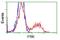 RAK antibody, NBP1-47761, Novus Biologicals, Flow Cytometry image 