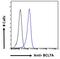 BAF Chromatin Remodeling Complex Subunit BCL7A antibody, 45-325, ProSci, Immunofluorescence image 