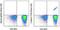 T cell Receptor V beta 8 antibody, 48-9890-41, Invitrogen Antibodies, Flow Cytometry image 