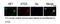 Autophagy protein 5 antibody, 10181-2-AP, Proteintech Group, Immunofluorescence image 