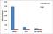 ETS-related transcription factor Elf-5 antibody, 720380, Invitrogen Antibodies, Chromatin Immunoprecipitation image 