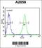 MOB Kinase Activator 1A antibody, 62-865, ProSci, Immunofluorescence image 