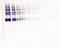 Klotho antibody, AP32851BT-S, Origene, Western Blot image 