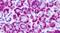 Metabotropic glutamate receptor 4 antibody, PA5-33821, Invitrogen Antibodies, Immunohistochemistry frozen image 