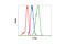 Fos Proto-Oncogene, AP-1 Transcription Factor Subunit antibody, 2250P, Cell Signaling Technology, Flow Cytometry image 