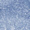 Somatostatin antibody, HPA019472, Atlas Antibodies, Immunohistochemistry frozen image 