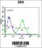 Prolyl-TRNA Synthetase 2, Mitochondrial antibody, 55-619, ProSci, Immunofluorescence image 