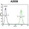 Fibroblast Growth Factor 11 antibody, abx027277, Abbexa, Flow Cytometry image 
