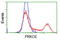 Protein Kinase C Epsilon antibody, TA502438, Origene, Flow Cytometry image 