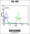 FKBP Prolyl Isomerase 11 antibody, 62-465, ProSci, Flow Cytometry image 