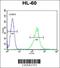KH Domain Containing 3 Like, Subcortical Maternal Complex Member antibody, 55-725, ProSci, Flow Cytometry image 