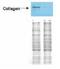 Collagen Type I Alpha 1 Chain antibody, R1038X, Origene, Western Blot image 