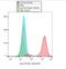 Major Histocompatibility Complex, Class I, G antibody, NBP1-44926, Novus Biologicals, Flow Cytometry image 