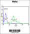 S100 Calcium Binding Protein A6 antibody, 62-845, ProSci, Immunofluorescence image 