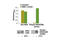 Erb-B2 Receptor Tyrosine Kinase 4 antibody, 13010C, Cell Signaling Technology, Enzyme Linked Immunosorbent Assay image 