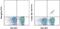 TCR V beta-10b antibody, 11-5805-80, Invitrogen Antibodies, Flow Cytometry image 