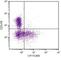 MHC II HLA-DR beta antibody, NBP1-28164, Novus Biologicals, Flow Cytometry image 