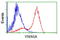 Von Willebrand Factor A Domain Containing 5A antibody, LS-C115524, Lifespan Biosciences, Flow Cytometry image 