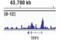 Histone Deacetylase 3 antibody, 85057S, Cell Signaling Technology, Chromatin Immunoprecipitation image 