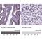 Sperm Associated Antigen 6 antibody, NBP1-80923, Novus Biologicals, Immunohistochemistry paraffin image 