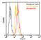Heat shock protein beta-1 antibody, ADI-SPA-801PE-D, Enzo Life Sciences, Flow Cytometry image 