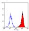 Lysosomal Associated Membrane Protein 2 antibody, MCA2293, Bio-Rad (formerly AbD Serotec) , Immunohistochemistry paraffin image 