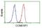 Cyclin B1 Interacting Protein 1 antibody, NBP2-00600, Novus Biologicals, Flow Cytometry image 