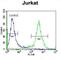 Zinc Finger Protein 648 antibody, abx026249, Abbexa, Western Blot image 