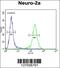 Zinc Finger DHHC-Type Containing 2 antibody, 61-982, ProSci, Immunofluorescence image 