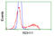 Retinol Dehydrogenase 11 antibody, TA501053, Origene, Flow Cytometry image 