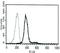 Carcinoembryonic Antigen Related Cell Adhesion Molecule 1 antibody, AM31274PU-N, Origene, Flow Cytometry image 