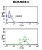 Protein Dos antibody, abx034302, Abbexa, Flow Cytometry image 