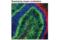 Doublecortin antibody, 14802S, Cell Signaling Technology, Immunofluorescence image 